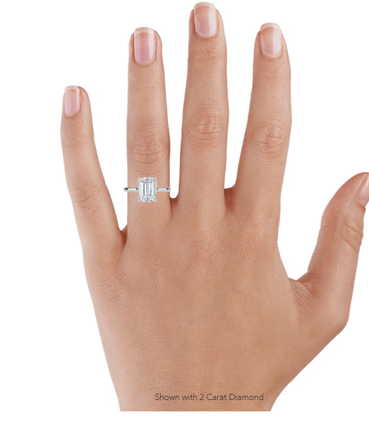 Im Labor gezüchteter französischer Pavé-Ewigkeitsring aus 14 Karat Weißgold (LD1033) (1 Karat)